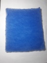 Mini II Pre Blue Filter